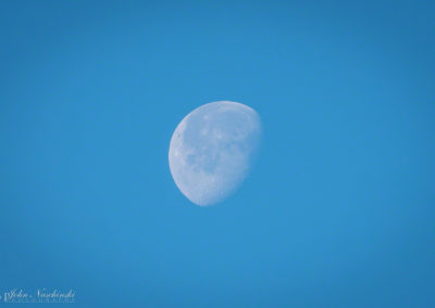 Castle Rock Colorado Photos Spring 2016 Moon Close Up - 04