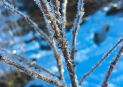 Castle Rock 2016 Winter - Ice Close Up Photo 29