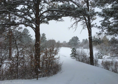 Castle Rock Colorado 2016 Winter Scenic Photo 33