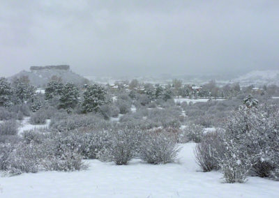 Castle Rock Colorado Photos Spring 2016 Snow - 39