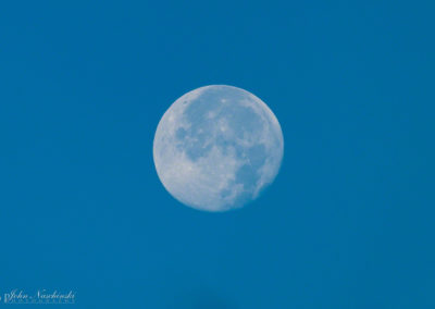 Photo of Morning Moon against Blue Sky in Castle Rock Colorado 20