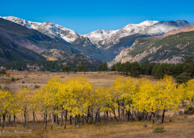 Upper Beaver Meadows Fall Colors Rocky Mountain National Park - Photo 08