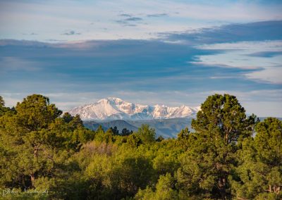 View of Snow Capped Pikes Peak as seen from Castle Rock in Late Spring