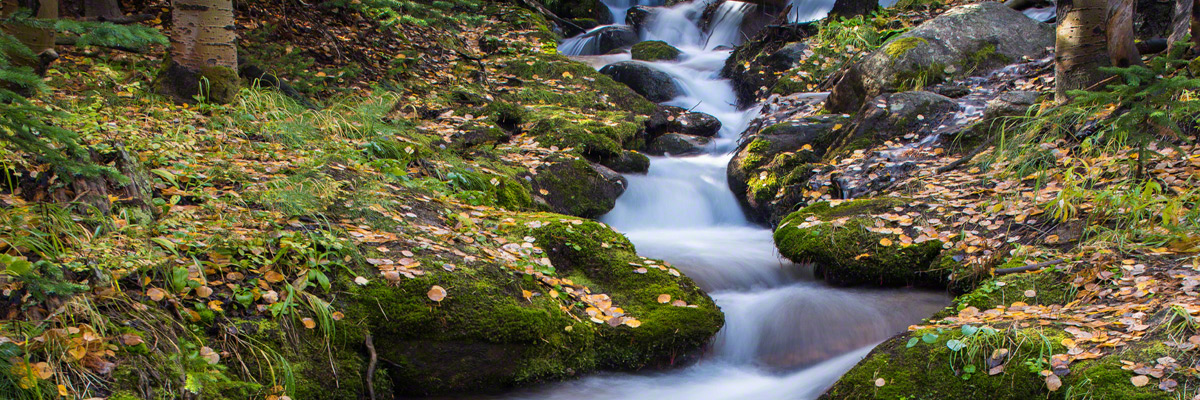 Photo of Boulder Brook Rocky Mountain National Park Colorado