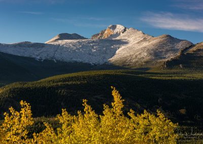 Snow Capped Longs Peak and Golden Aspen Trees