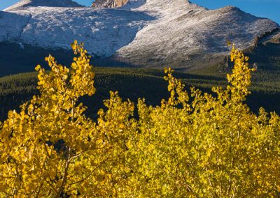 Vertical Photo of Snow Capped Longs Peak and Fall Colors