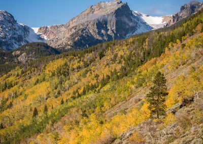 Vertical Photo of Hallet Peak and Bierstadt Moraine Fall Colors RMNP