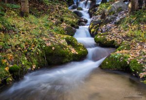 Fall Colors Boulder Brook Autumn Rocky Mountain National Park