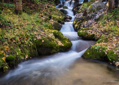 Fall Colors Boulder Brook Autumn Rocky Mountain National Park