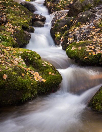 Boulder Brook - RMNP