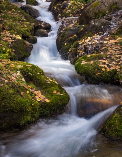 Boulder Brook - Rocky Mountain National Park