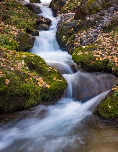 Boulder Brook Autumn Rocky Mountain National Park