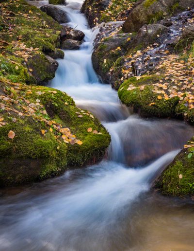 Fall Colors Boulder Brook Autumn Rocky Mountain National Park