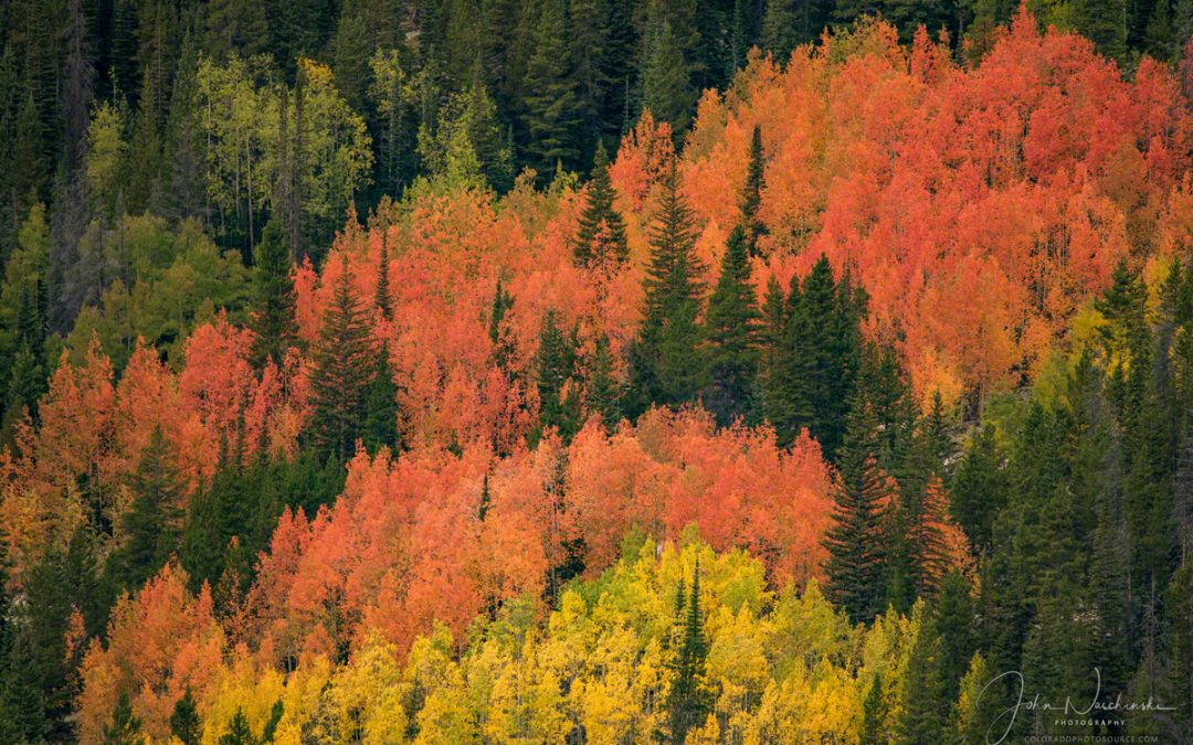 Photos from Westside of Rocky Mountain National Park Colorado