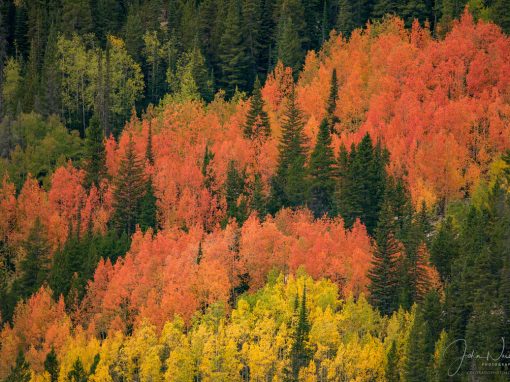 Photos from Westside of Rocky Mountain National Park Colorado