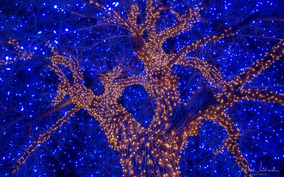 Photos of Downtown Castle Rock CO Christmas Lights