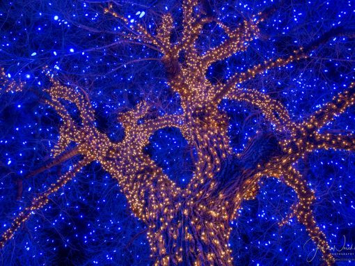 Photos of Downtown Castle Rock CO Christmas Lights