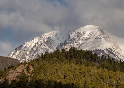 Photo of Mount Chapin in Mummy Range Rocky Mountain National Park