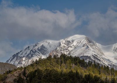 Photo of Mount Chapin in RMNP