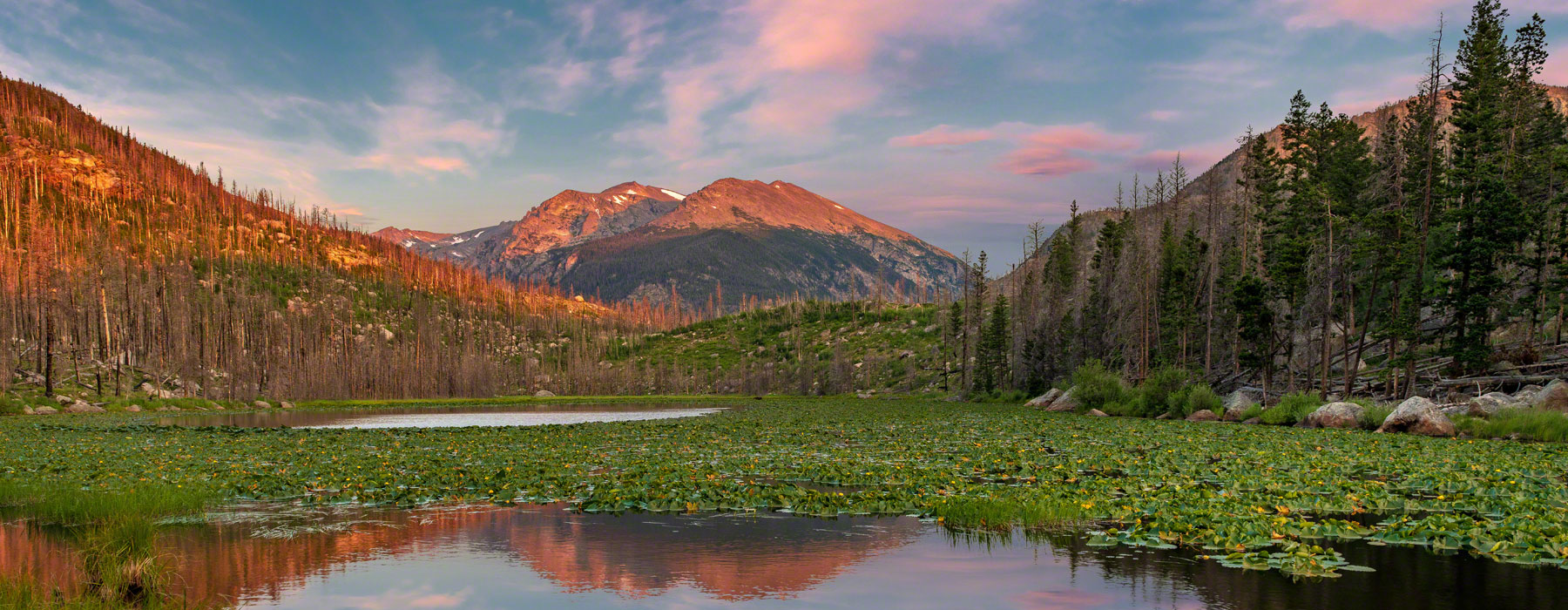 Cub Lake RMNP Landscape Photo