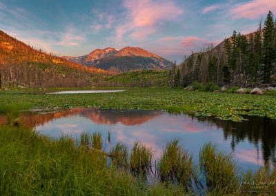 Photo of Cub Lake RMNP