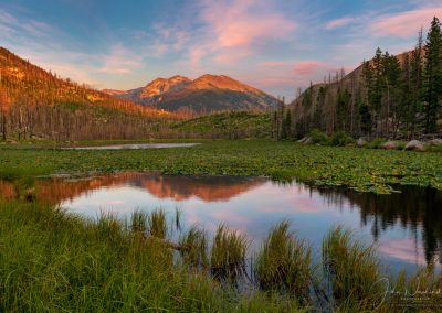 Photo of Cub Lake Rocky Mountain National Park