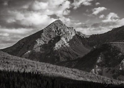 Dramatic Black and White Close Up Photo of Baker Mountain