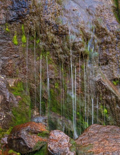 Closeup Photo of Timberline Falls RMNP Colorado