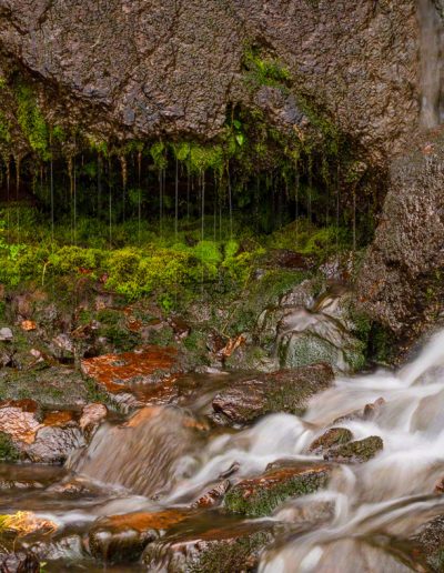 Photo of Timberline Falls Grotto RMNP Colorado