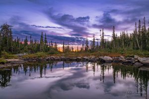 Marigold Pond ar Sunrise RMNP