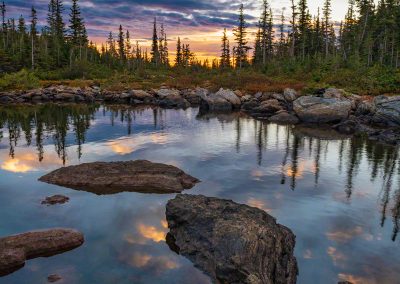 Vertical Photo of Sunrise at Marigold Pond in Rocky Mountain National Park