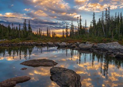 Vertical Photo of Warm Sunrise at Marigold Pond in Rocky Mountain National Park