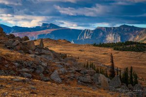 RMNP Photo off Trail Ridge Road Forest Canyon Overlook