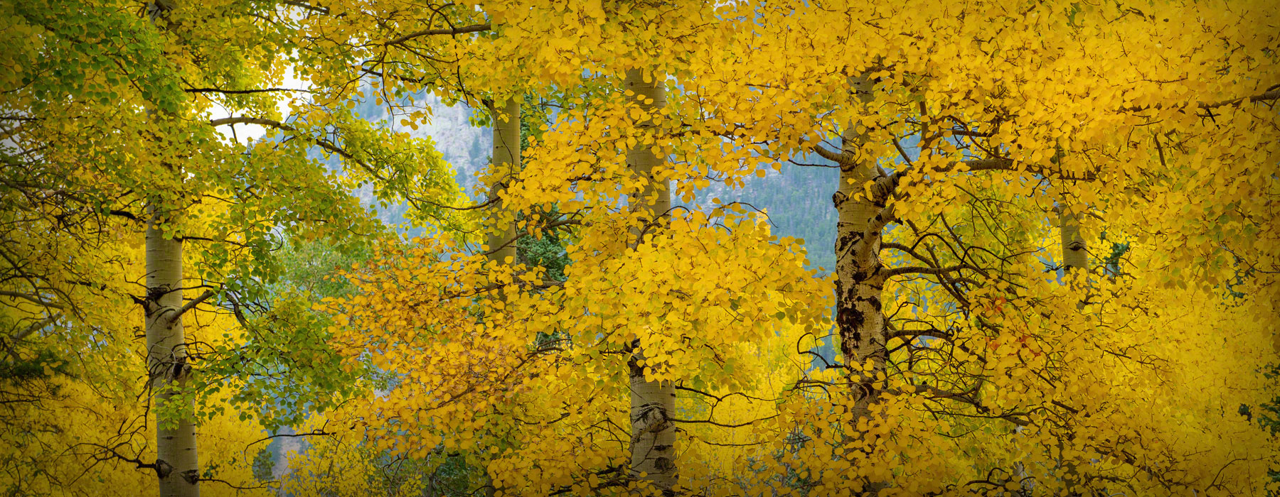 Rocky Mountain National Park Colorado Photos of Fall Colors