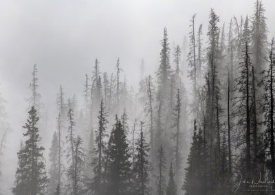 Photo of Mystical Morning Fog Rocky Mountain National Park Colorado