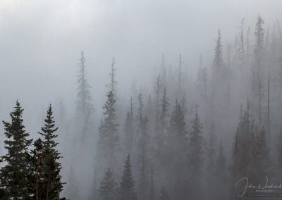 Photo of Forest in Mist and Fog Rocky Mountain National Park Colorado