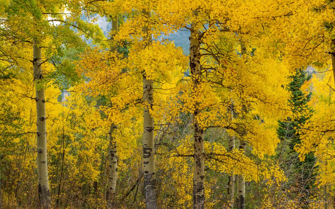 Photos of Rocky Mountain National Park Colorado Fall Colors