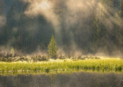 Photo of God Rays and Fog over East Inlet RMNP Colorado