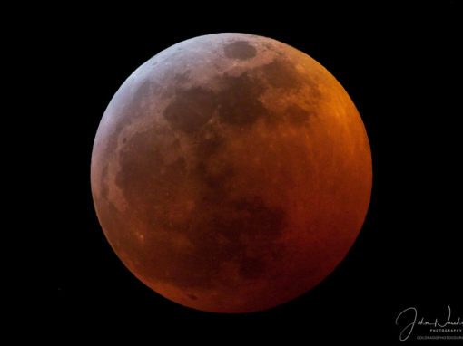 Photos of Super Blood Wolf Moon Eclipse in Colorado