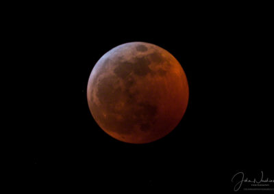 Photo of the Super Blood Wolf Moon Eclipse in Colorado