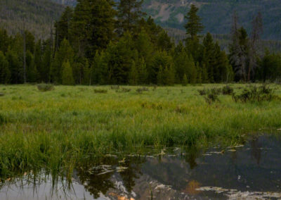 Vertical Photo of Baker Mountain Reflecting in Pond at Rocky Mountain National Park