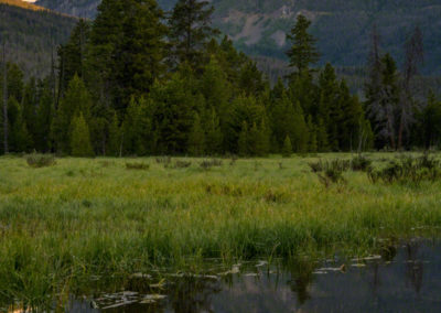 First Light on Baker Mountain Reflecting on a Pond at Rocky Mountain National Park