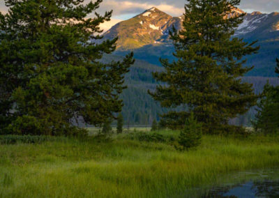 Vertical Photo of Sunrise Illuminating Bowen Mountain Reflecting upon a Still Pond through two Pine Trees RMNP Colorado