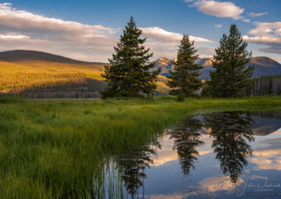 Photo of Sunrise Illuminating Bowen Mountain Reflecting upon a Still Pond through Three Pine Trees in RMNP Colorado