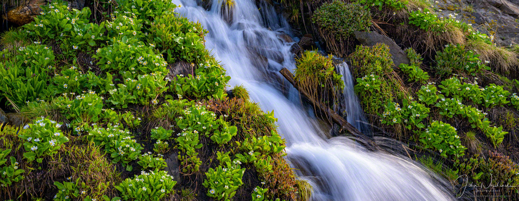 Photo of Colorado Stream Feeding Into Lake Isabelle