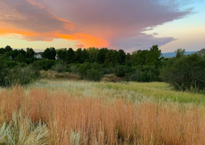 Vertical Photo of Vibrant Clouds Colorado Native Grasses and Blue Skies at Sunrise over Castle Rock