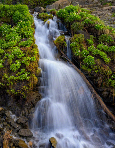 Vertical Photo of Colorado Stream Feeding Into Lake Isabelle