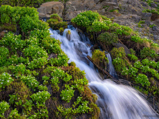 Photos of Lake Isabelle Colorado Waterfalls and Streams