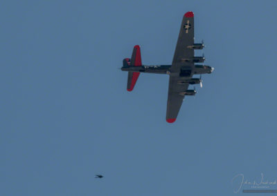 Wings of Blue Parachute Jumping from Bomb Bay Doors on B-17G Texas Raiders