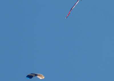 US Air Force Wings of Blue Parachute Demonstration Team